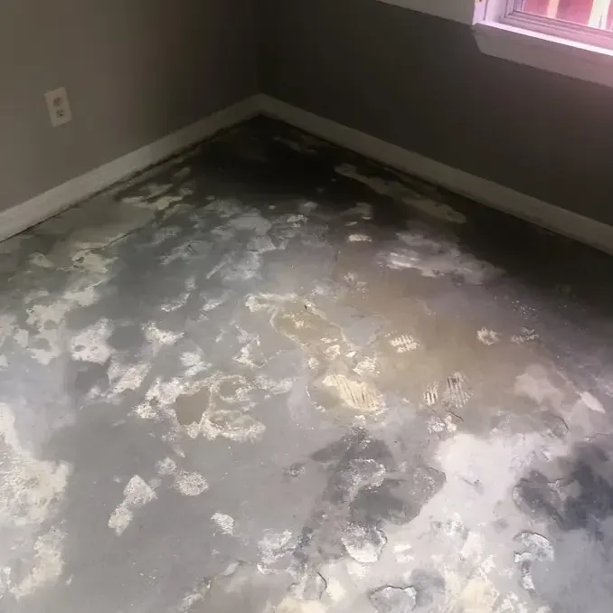 Standing water and pale debris cover a bare floor below a window